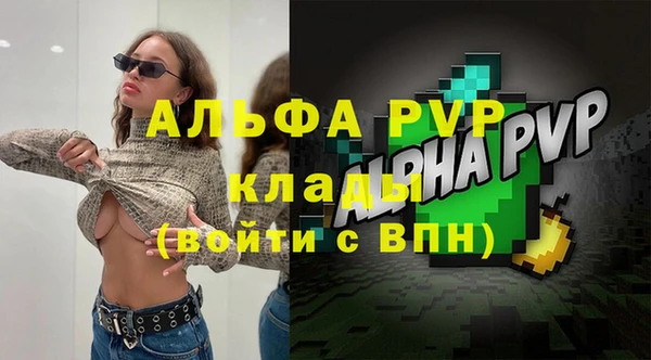 гашик Вязники